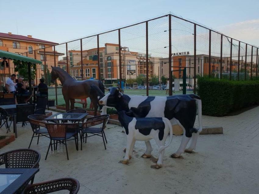 Apartmán Panorama Dreams Sveti Vlas Exteriér fotografie